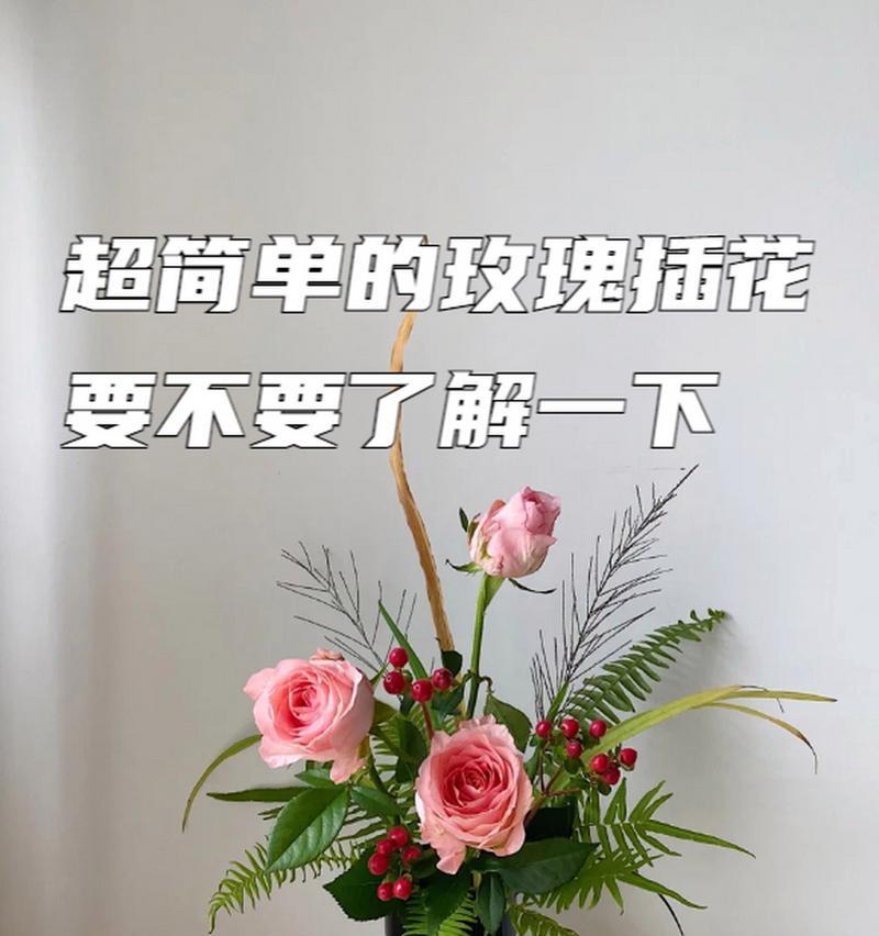 插花玫瑰花的长期养护方法是什么？怎样保持其新鲜度？