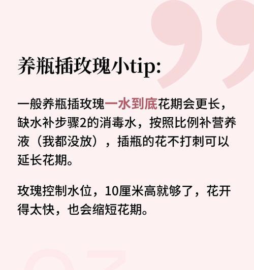 拔掉的玫瑰花如何进行养护？