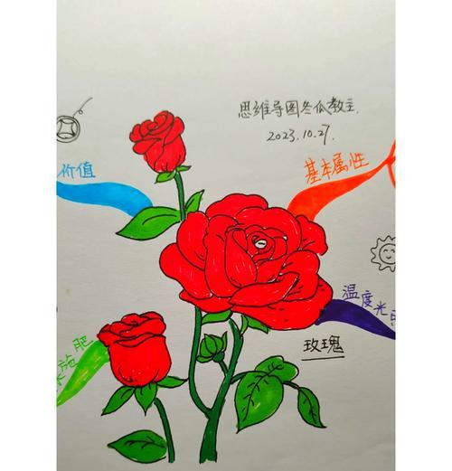玫瑰花管理在维语中如何表达？