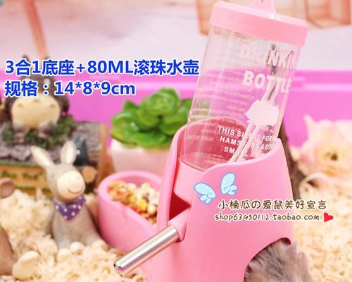 仙人掌仓鼠水壶的养殖方法详解