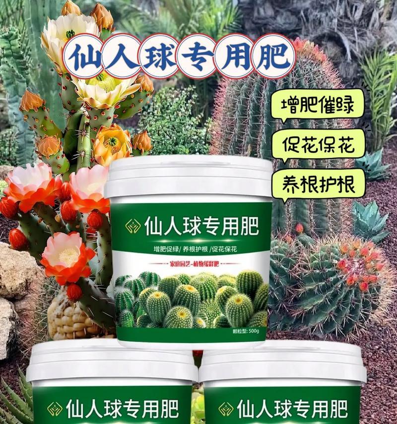 仙人球叶子生长不出来怎么办？