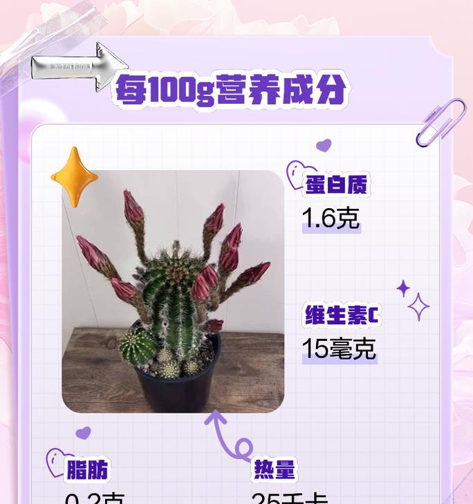 杨家花卉仙人掌养殖技巧有哪些？
