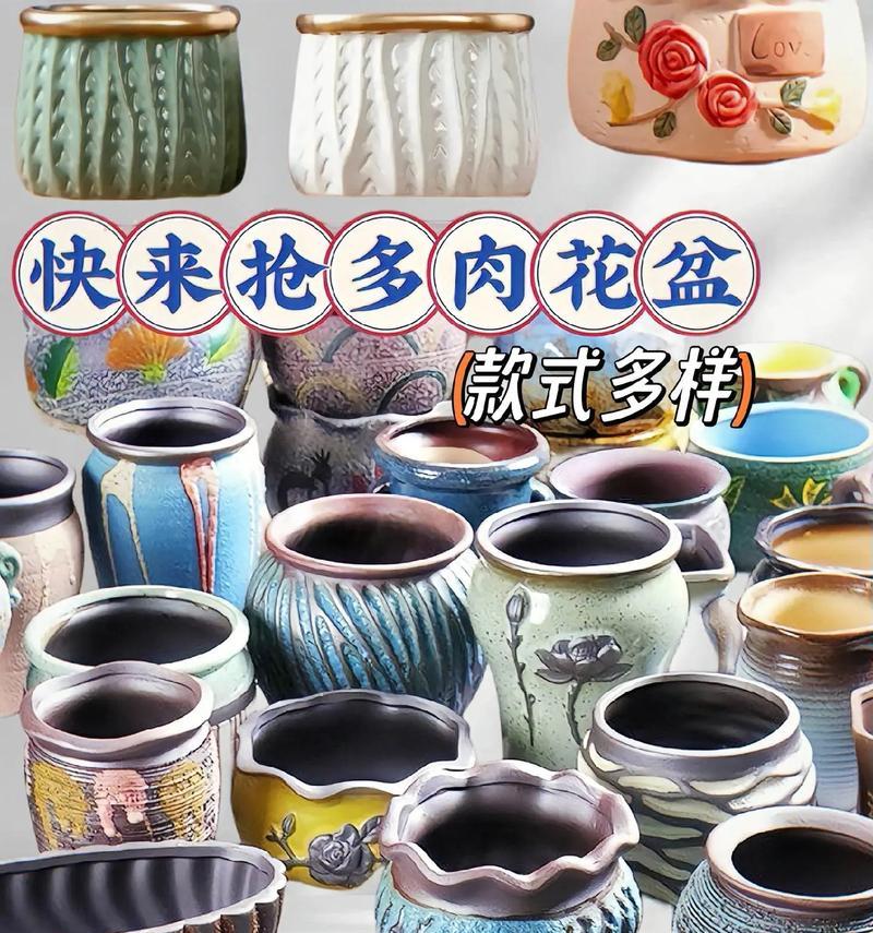 选择花盆时应注意什么？哪种材质的花盆最适合多肉植物？