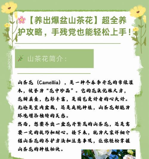 茶花种植需要注意哪些事项？