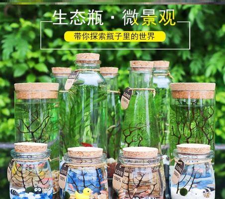 玻璃瓶生态盆景的养护技巧有哪些？如何保持生态平衡？