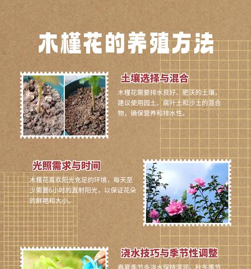 格桑花的种植方法是什么？种植格桑花有哪些注意事项？