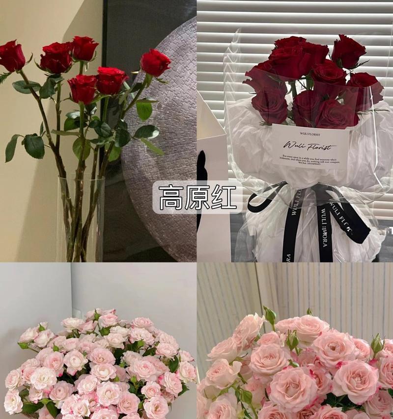 鲜切花玫瑰插瓶后能持续多久？如何延长花期？