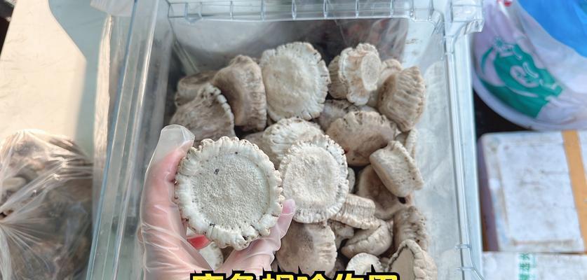 鹿角饰品如何保养？有哪些清洁和维护小技巧？