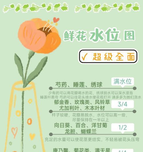 玫瑰鲜花的正确养护方法是什么？如何延长其花期？