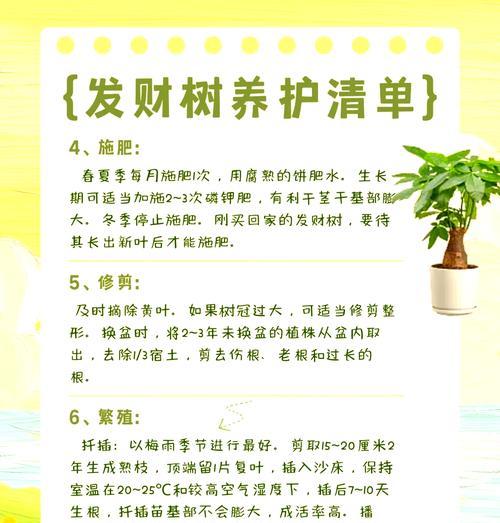 发财树重剪后不发芽？如何促进新芽生长？