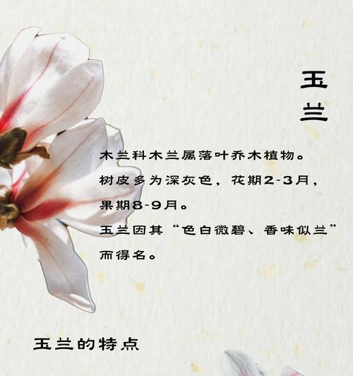 花怎么种植？花卉种植的基本步骤是什么？