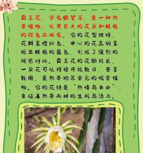 花怎么种植？花卉种植的基本步骤是什么？