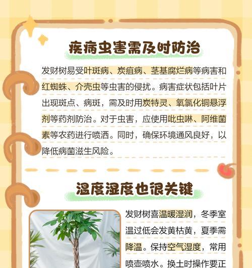 发财树叶子发黄是什么原因？如何拯救发黄的发财树？