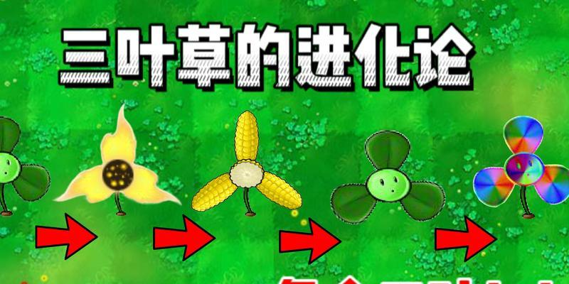 三叶草植物怎么养？需要哪些特别的照顾？