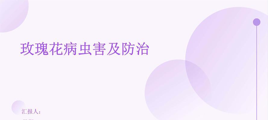 玫瑰花的养护技巧有哪些？如何防止病虫害？