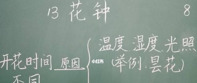 白杨树开花的时间表是什么？