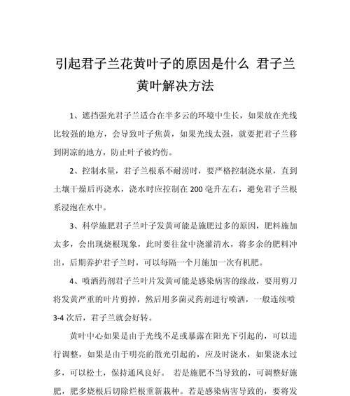 君子兰叶子断裂的原因是什么？如何进行修复？