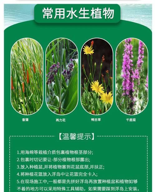 浮水植物有哪些种类？它们在水生生态系统中扮演什么角色？