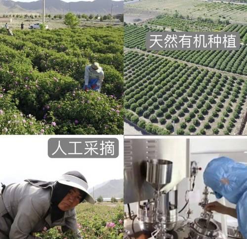 玫瑰花土壤配制肥料的正确步骤是什么？