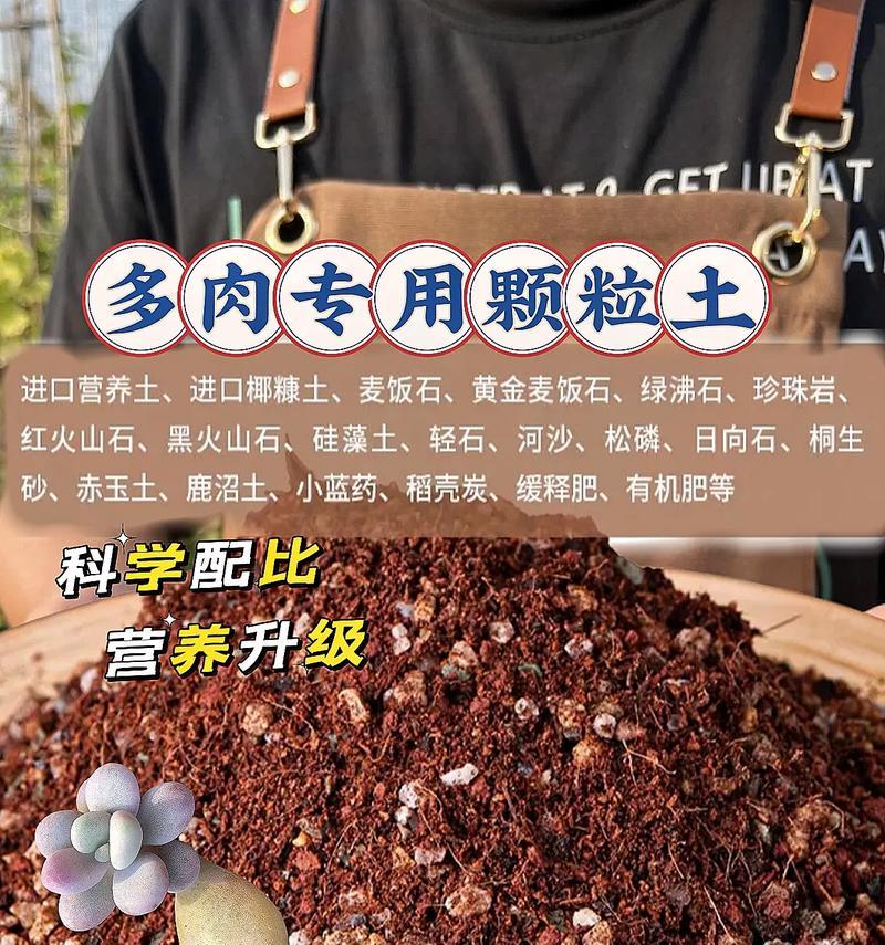 玫瑰花土壤配制肥料的正确步骤是什么？