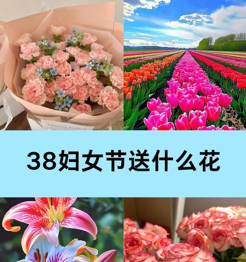送朋友什么花最合适？送花有哪些寓意和讲究？