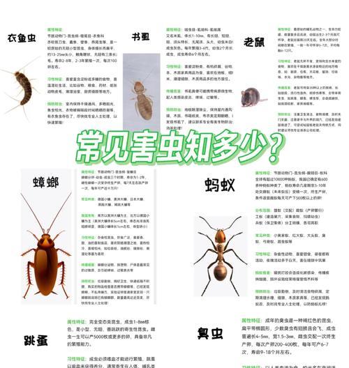 平安树出现虫害如何处理？有哪些防治方法？