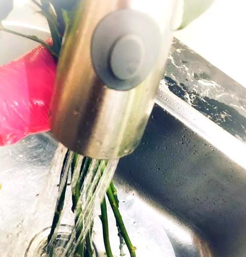 鲜切玫瑰花如何插瓶保鲜？怎样延长花期？