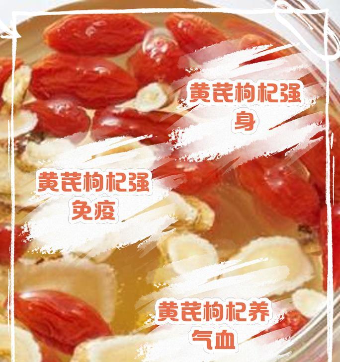 北芪在植物养护中起到什么作用？它对植物有哪些益处？