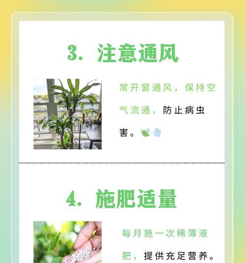 龙眼树叶子发黄的原因是什么？如何防治？