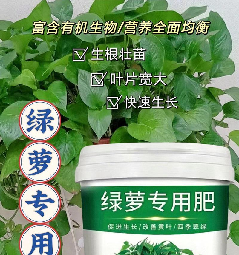 绿萝使用什么肥料好？哪种肥料最适合绿萝？