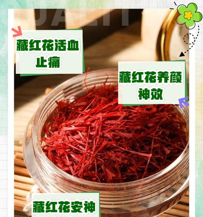 藏红花的种植技巧有哪些？如何提高藏红花的产量？