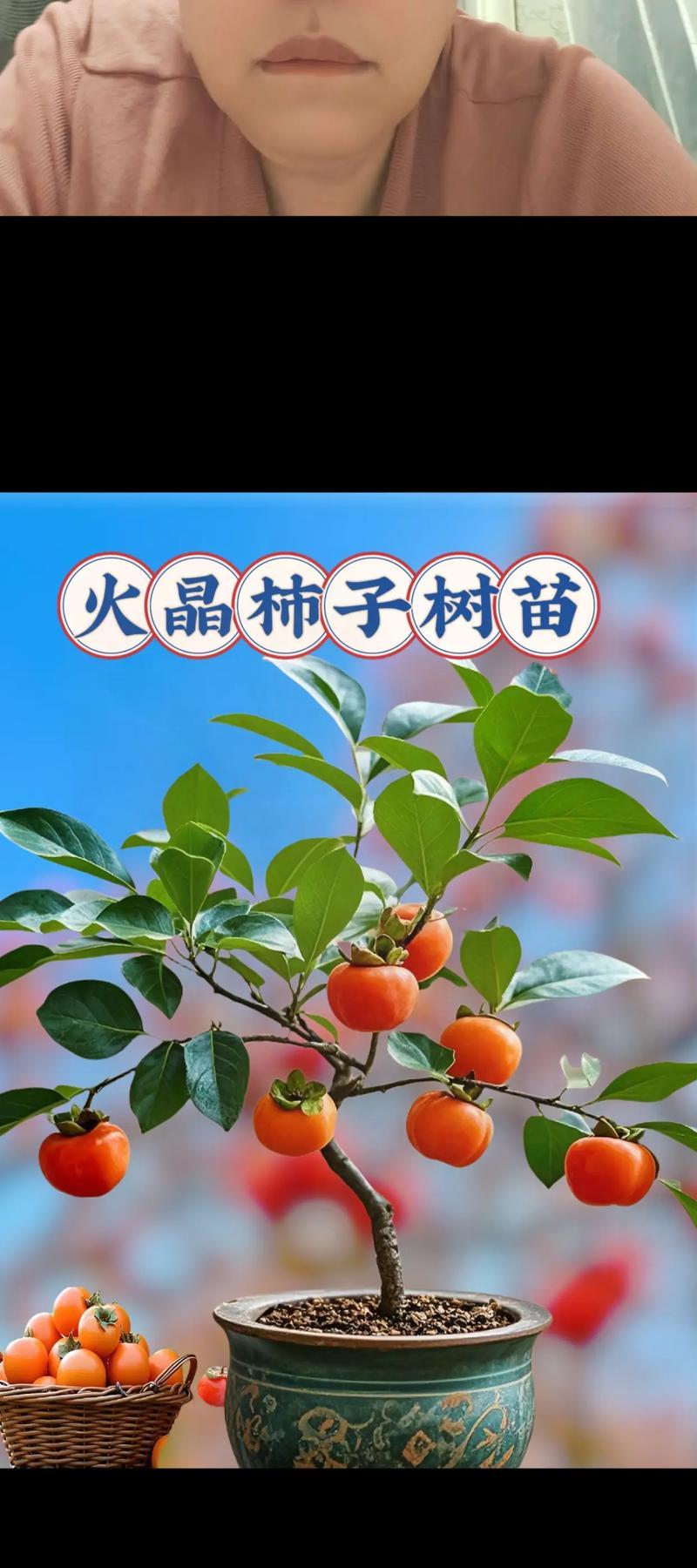 盆栽果树修剪的最佳方法是什么？如何通过修剪促进结果？