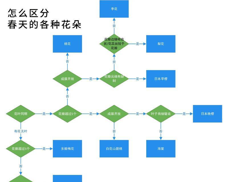 花的形状有哪些分类？如何识别不同形状的花？