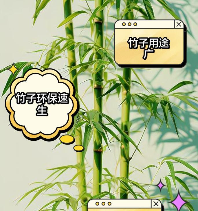 种植竹子的方法有哪些？如何确保竹子健康成长？