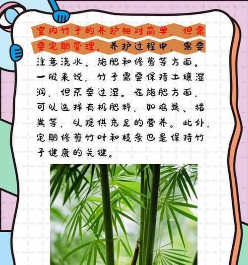 种植竹子的方法有哪些？如何确保竹子健康成长？