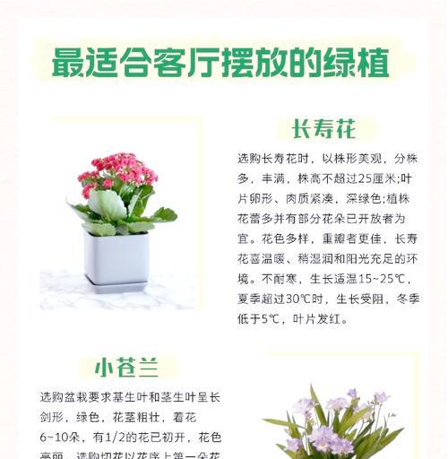 长寿花怎么分株？分株后如何养护？