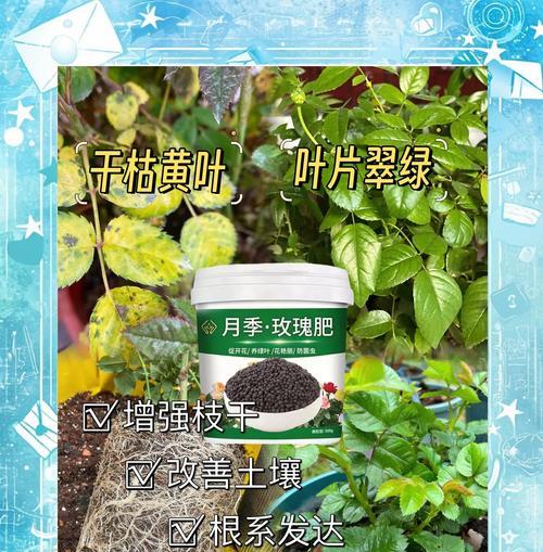 花叶枯黄的原因有哪些？如何及时发现并解决？