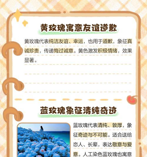 不同颜色的玫瑰花各自代表什么？它们的花语有何不同？
