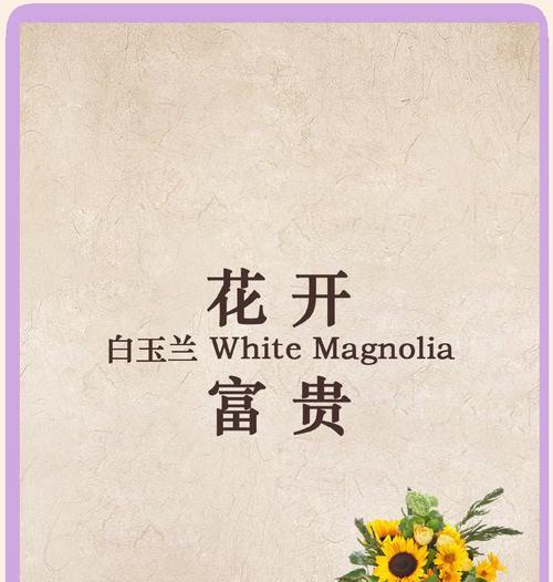 玉兰花代表什么寓意？花语有哪些含义？