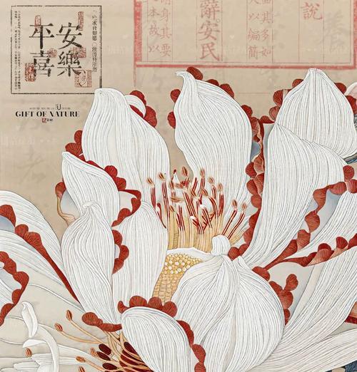 玉兰花代表什么寓意？花语有哪些含义？