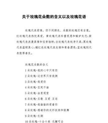 外卖暗夜玫瑰花语有何含义？它适合什么场合？