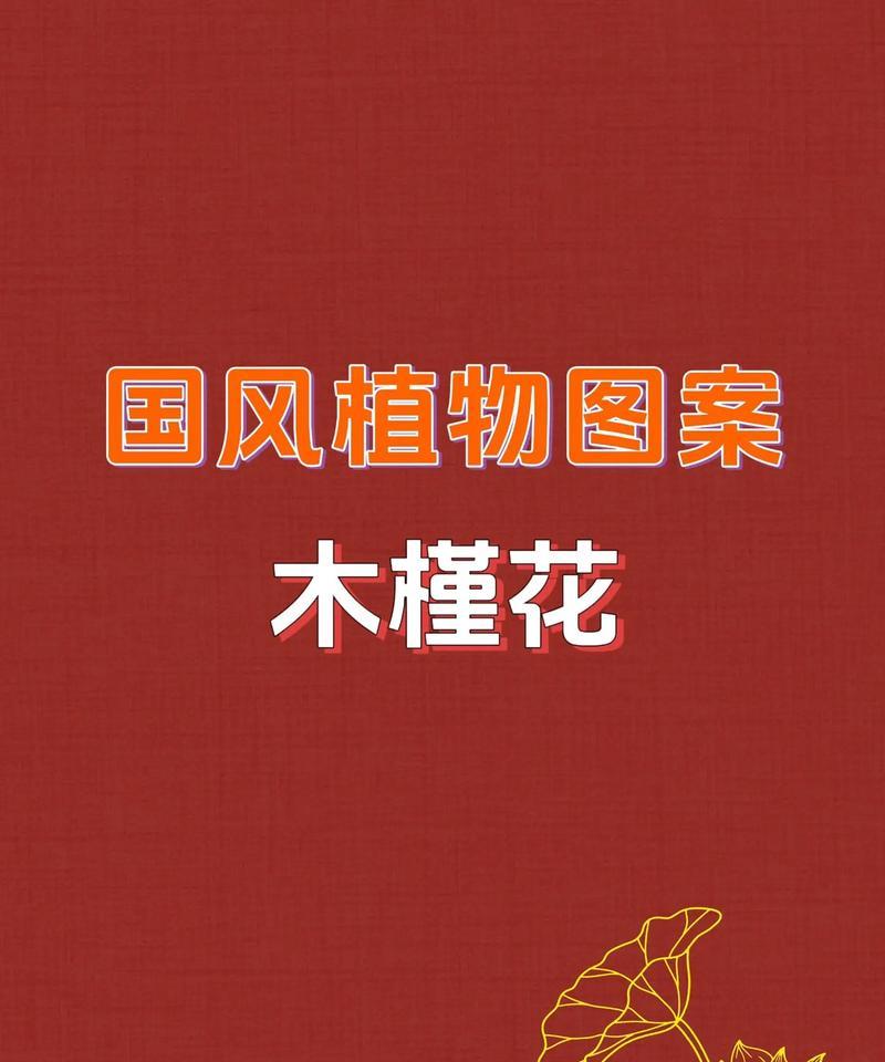 盆栽木槿花的养护要点是什么？如何保持其花期长？