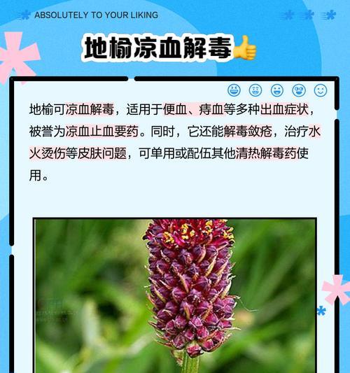 榆树繁殖有哪些方法？繁殖后多久能生根？