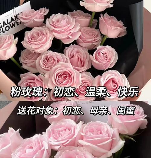 冬天送花给闺蜜有什么特别的花语？