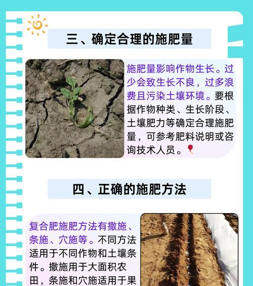 家庭植物施肥的正确方法是什么？施肥时应注意什么？