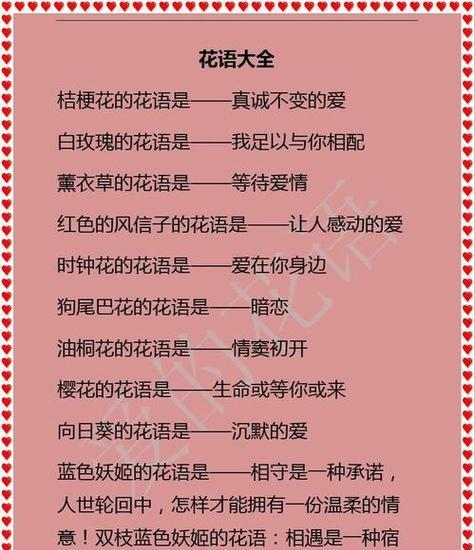 哪种花的花语最符合警察的形象？它象征着什么？
