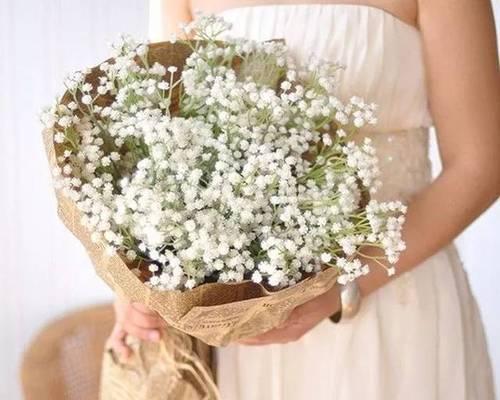 一捧冰淇淋花语是什么呢？冰淇淋花语中隐藏着什么甜蜜？
