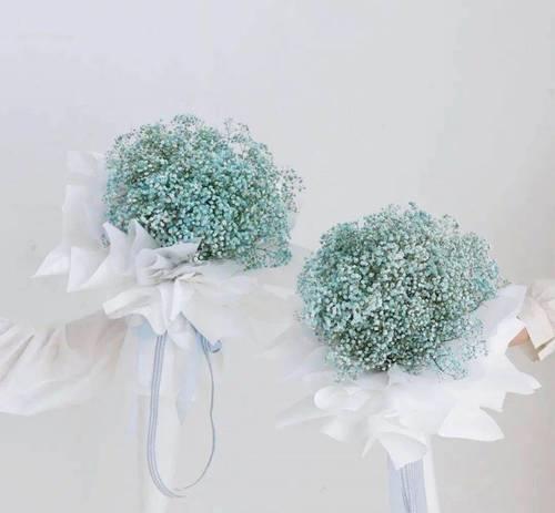 一捧冰淇淋花语是什么呢？冰淇淋花语中隐藏着什么甜蜜？
