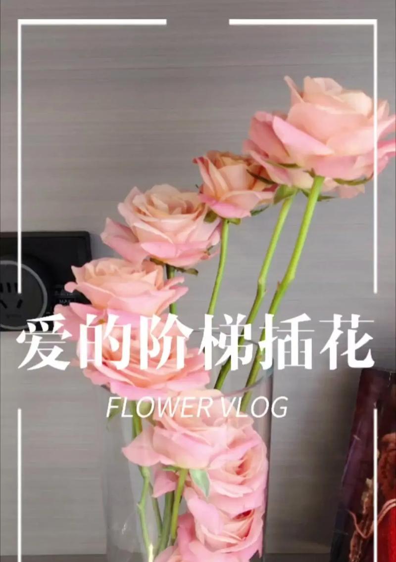 楼梯口插玫瑰花有何寓意？这种做法背后的意义是什么？