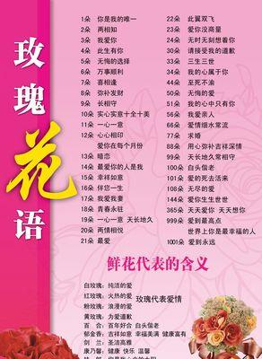 秋天的玫瑰花代表什么？花语有何不同？